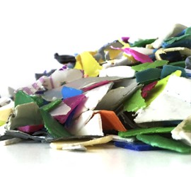 contacto Global Ecology